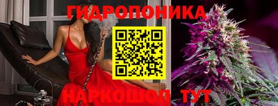 мяу мяу мука Ливны