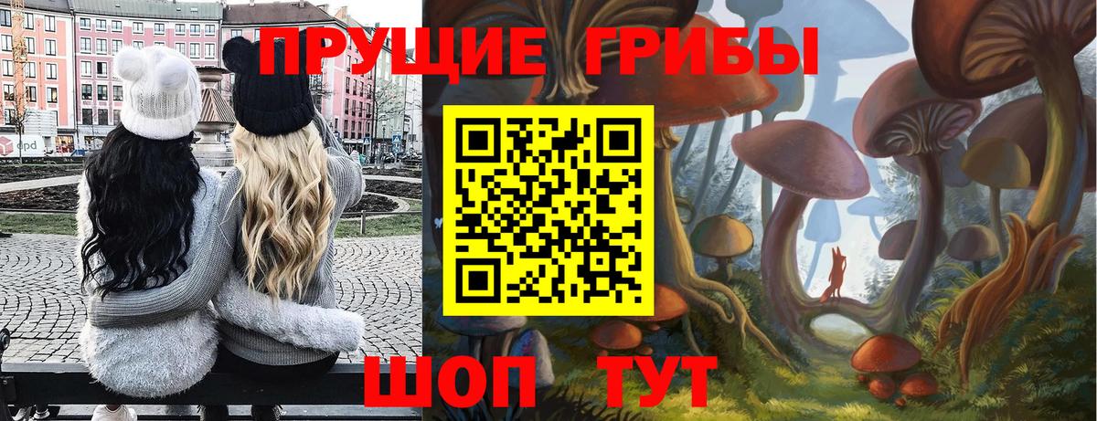 Зеленокумск  Галлюциногенные грибы GOLDEN TEACHER  Вход с VPN 